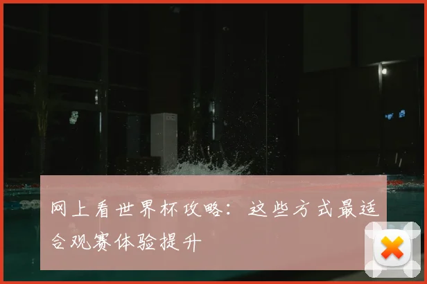 网上看世界杯攻略：这些方式最适合观赛体验提升